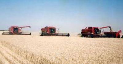 Los productores de granos podr�n recuperar las retenciones al trigo
