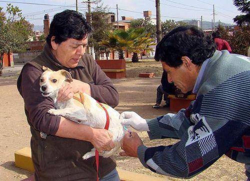 Antirr�bica: habilitaron puestos m�viles en distintos puntos del Alto Comedero