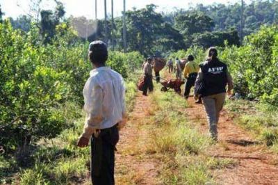 Detectan trabajo no registrado en campamentos yerbateros