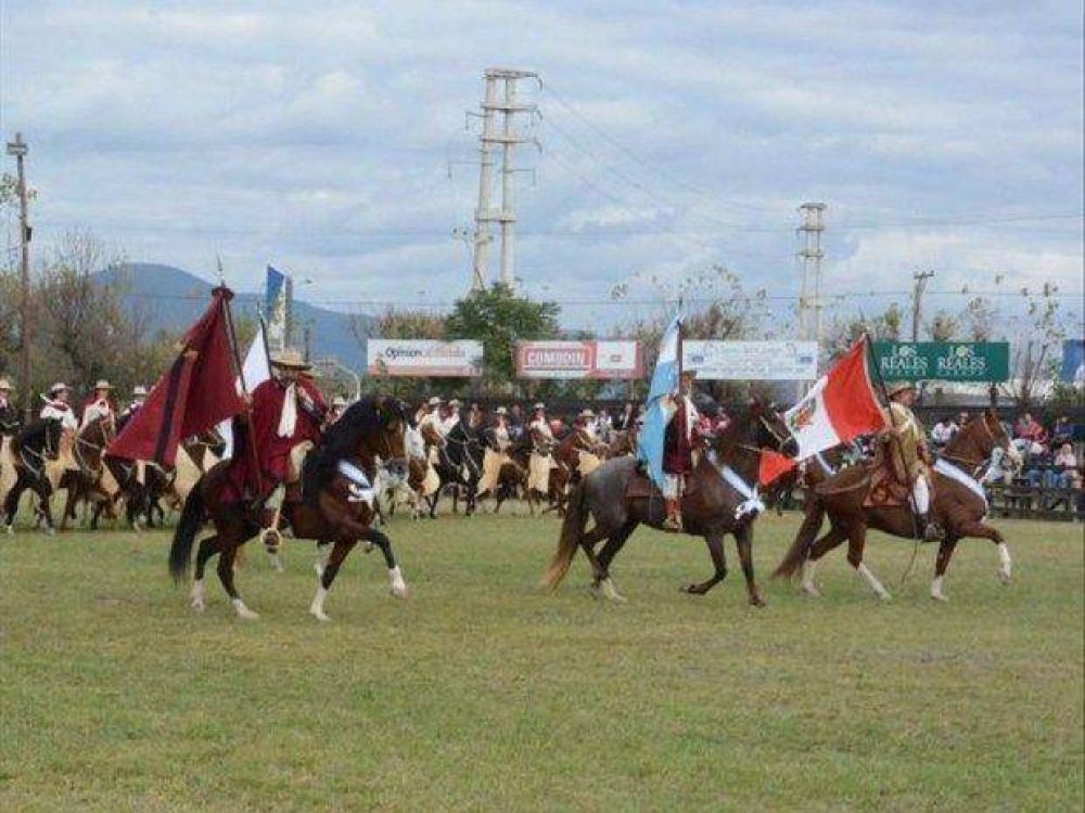 Salta se afianza en la cr�a de Peruanos de Paso