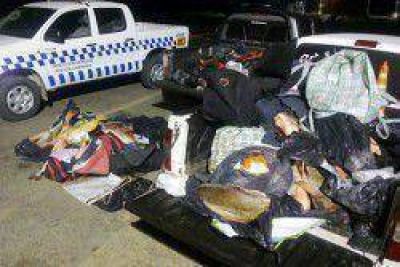 Secuestraron de 600 kilos de pescado en colectivo de larga distancia