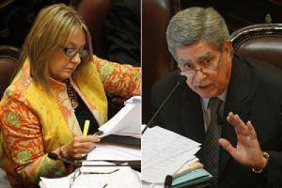 Duro cruce entre los senadores Marcelo Fuentes y Liliana Negre de Alonso