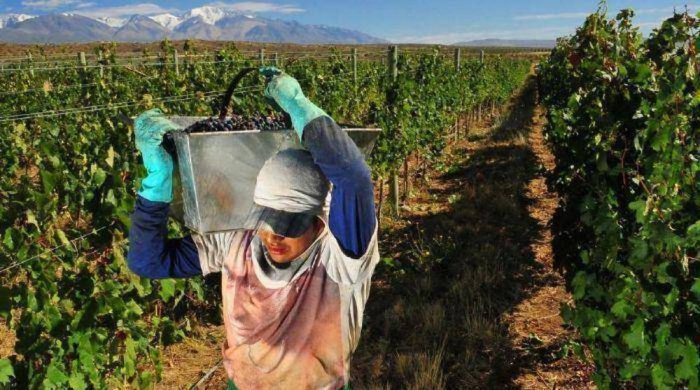 A pesar del granizo, se cosech� 28% m�s que el a�o pasado
