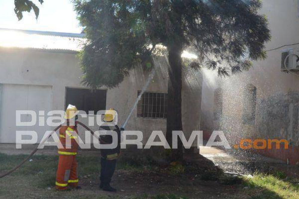 Principio de incendio en un �rbol caus� preocupaci�n en la escuela Centenario