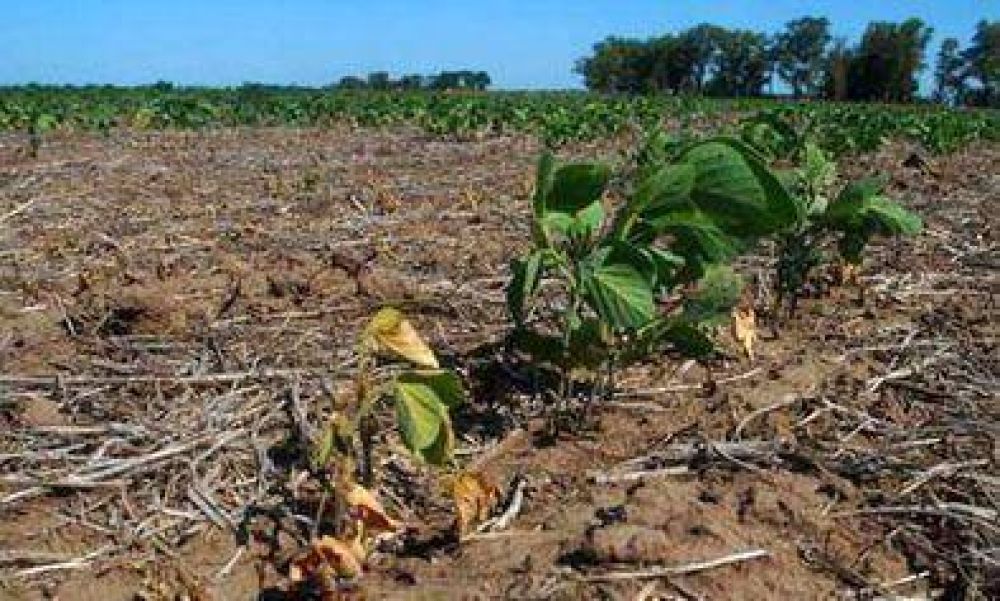 Prev�n convocar en breve al Comit� de Emergencia Agropecuaria