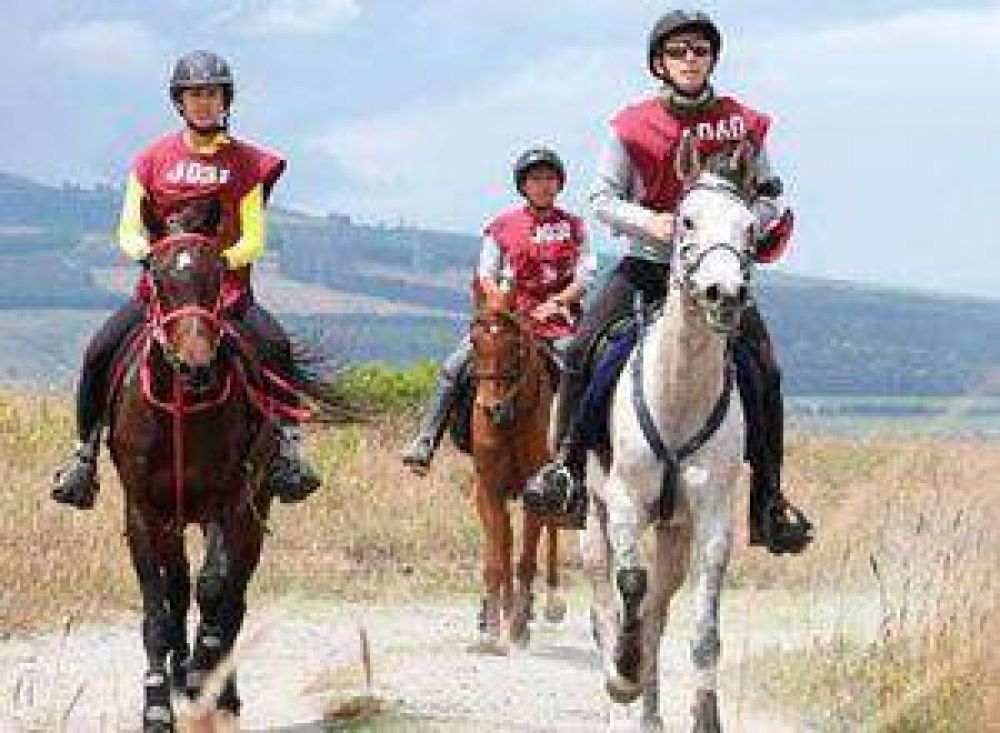 Millonarios �rabes copan Monte Hermoso en busca de caballos de carrera