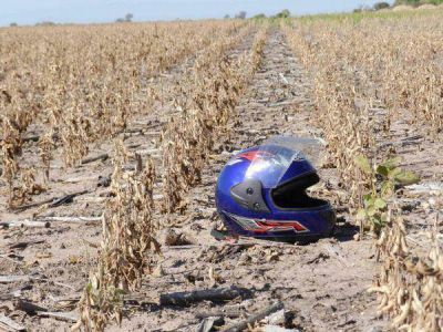 Estiman en un 80 % las p�rdidas por la sequ�a en los cultivos del departamento Maip�
