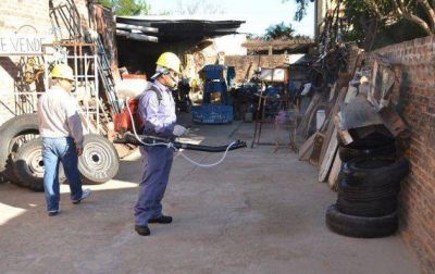 El dengue no da tregua: 17 nuevos casos en S�enz Pe�a