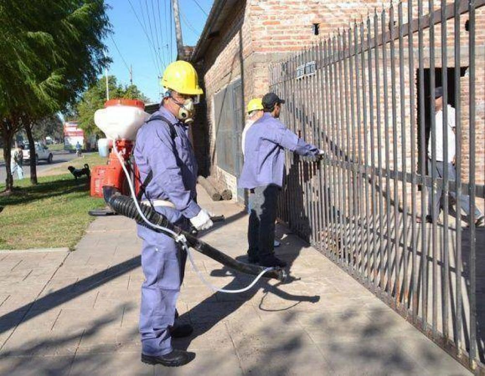 Dengue: advierten que el mosquito est� instalado y la gente no toma conciencia