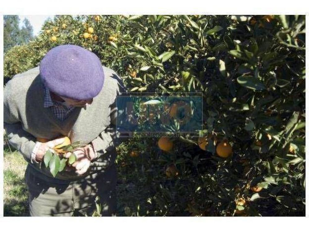 Abonar�n con una suba del 8% los sueldos de mayo a los zafreros