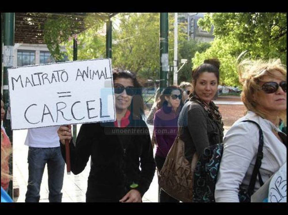 En la Peatonal pidieron castigo para quienes maltratan a los animales