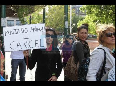 En la Peatonal pidieron castigo para quienes maltratan a los animales