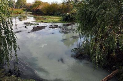 Visible contaminaci�n en un brazo del r�o Negro
