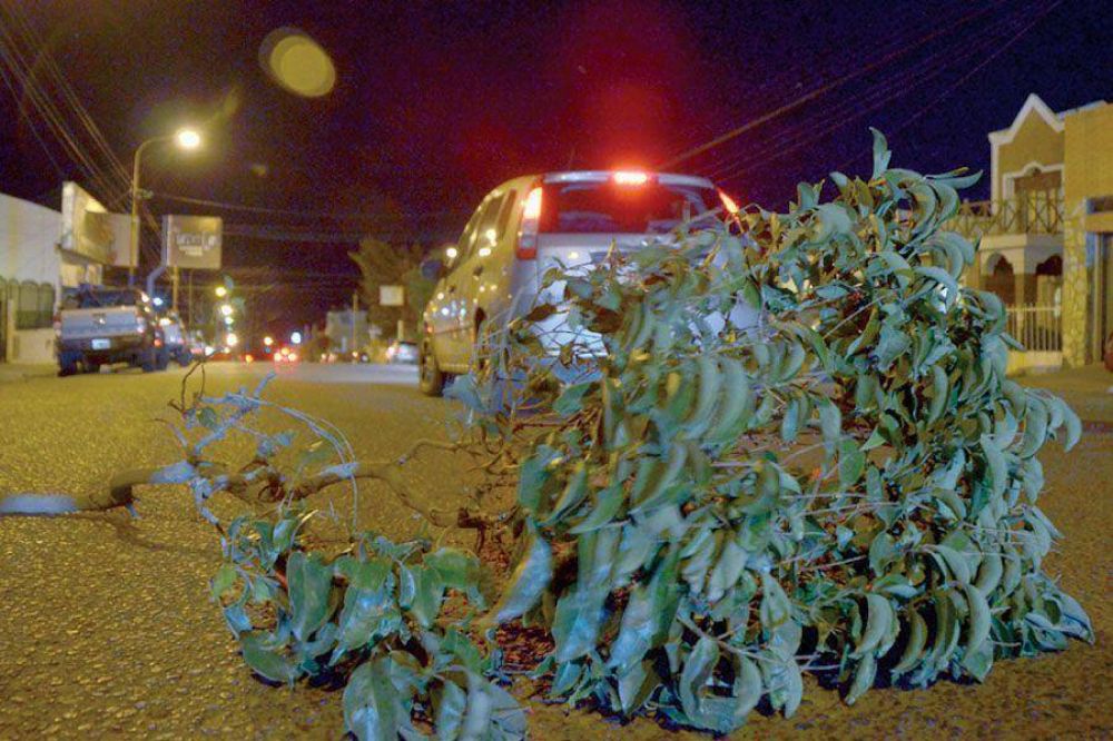 El viento caus� desastres en diversos sectores de la ciudad