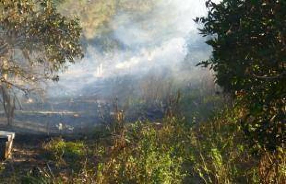 Al menos 50 colmenas se incendiaron en un campo