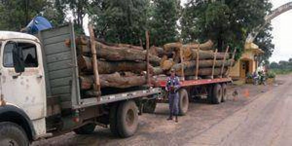 La Polic�a secuestr� rollizos de madera