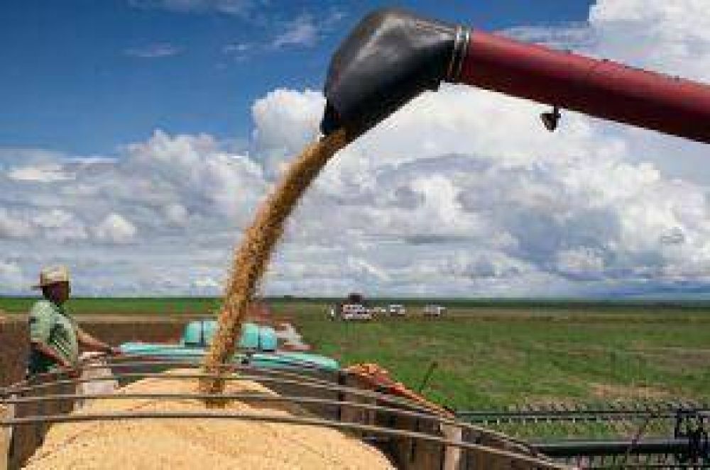La compraventa de campos en Jun�n est� paralizada como nunca antes en la historia