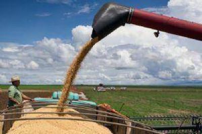 La compraventa de campos en Jun�n est� paralizada como nunca antes en la historia