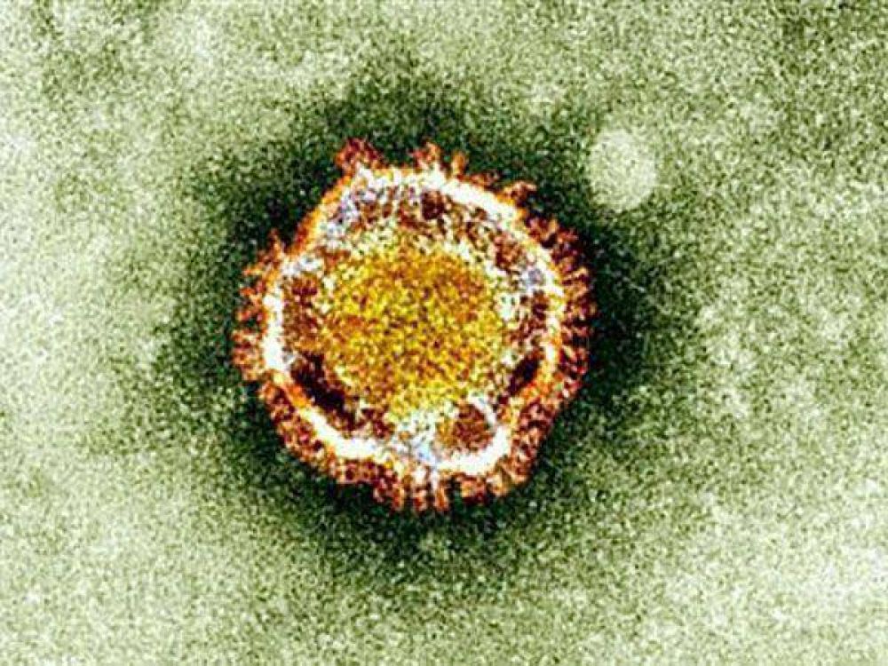 El coronavirus mata y podr�a transmitirse entre humanos