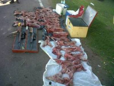 La Polic�a Caminera secuestr� el armamento y las presas de tres cazadores furtivos