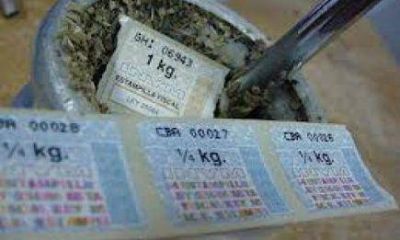 Prietto sobre estampillas mellizas: �Los medios tienen malintencionalidad�