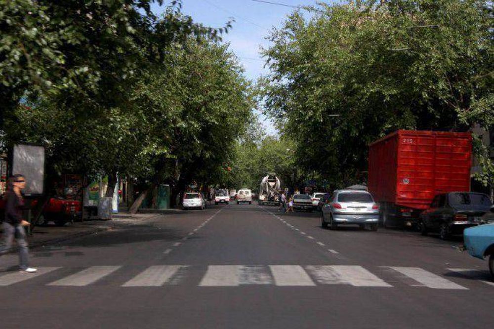Ambiente prev� plantar 300 mil �rboles en lo que resta de 2013