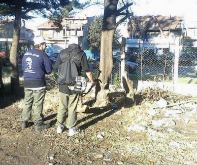 Una cooperativa realiza tareas de limpieza en el Interzonal