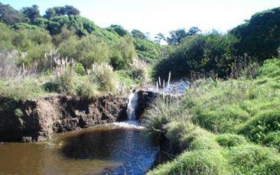 Arroyo Corrientes: vecinos solicitan obras para evitar inundaciones en la zona sur