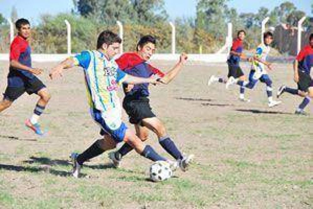 Pic�n y �rbol Verde apuntan alto