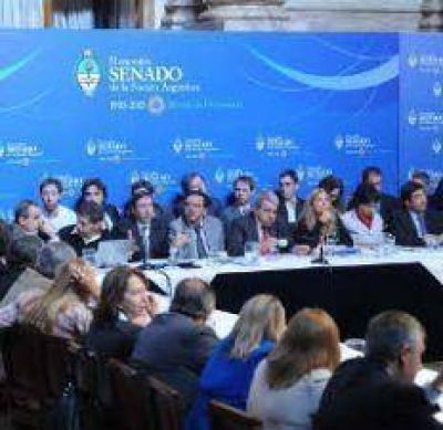 El Senado retoma la discusi�n del blanqueo