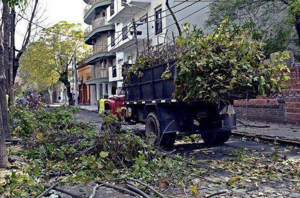 El Municipio avanza con el Plan Integral de Poda en San Fernando