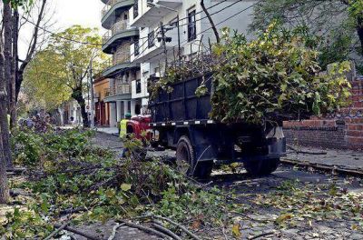 El Municipio avanza con el Plan Integral de Poda en San Fernando