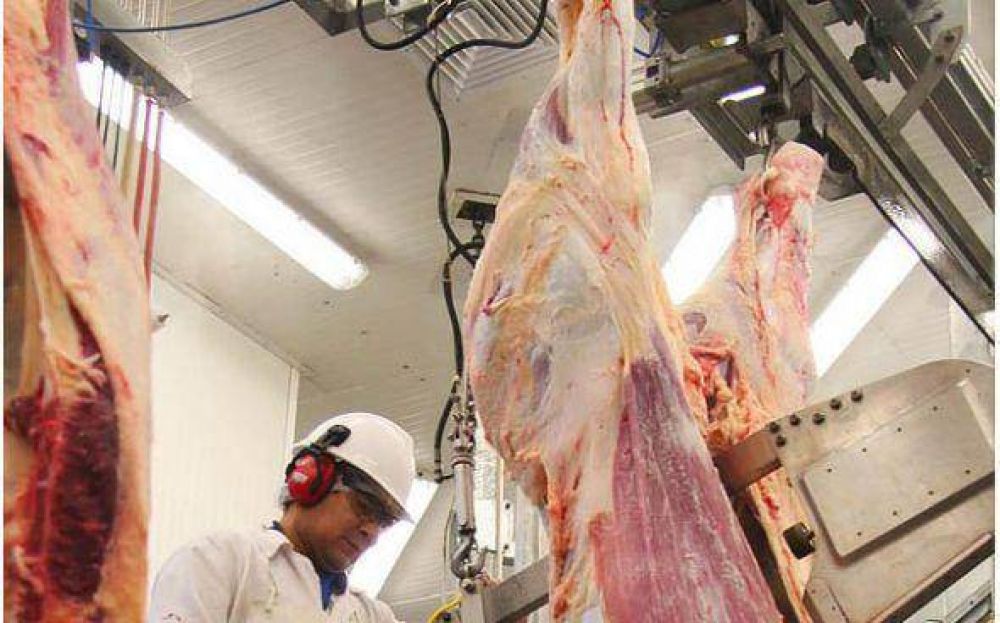 Alertan que en lo que va del a�o ya se produjeron 500 despidos en frigor�ficos de Pilar
