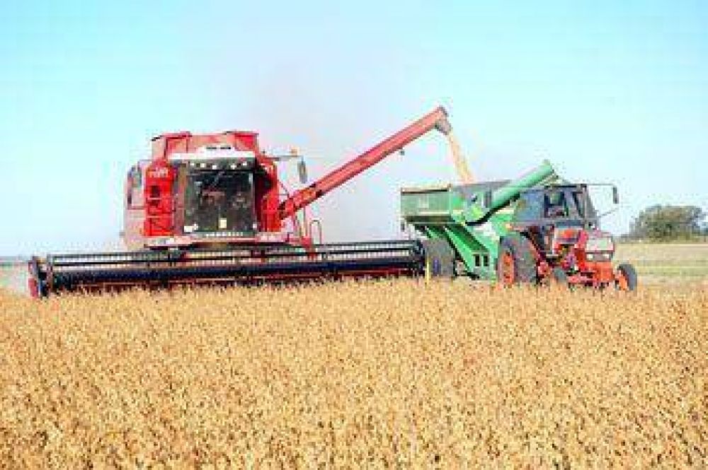 Los mejores rindes en la zona n�cleo aumentan la producci�n de soja