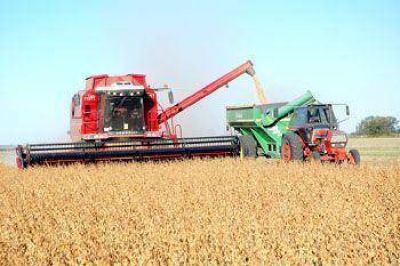 Los mejores rindes en la zona n�cleo aumentan la producci�n de soja