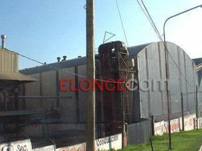 Aceitera del Litoral exportar� 5000 toneladas de harina mensuales con destino al sudeste asi�tico 