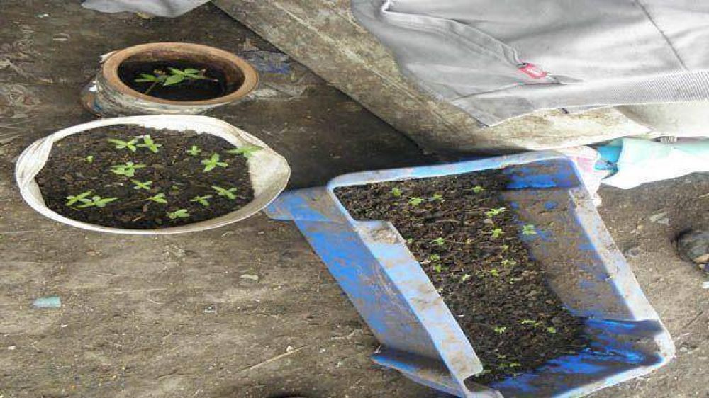 Cre�an que guardaba armas pero ten�a 12 kilos de droga  