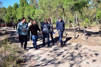 Acuerdo con Casino Magic para la iluminaci�n de Parque Norte
