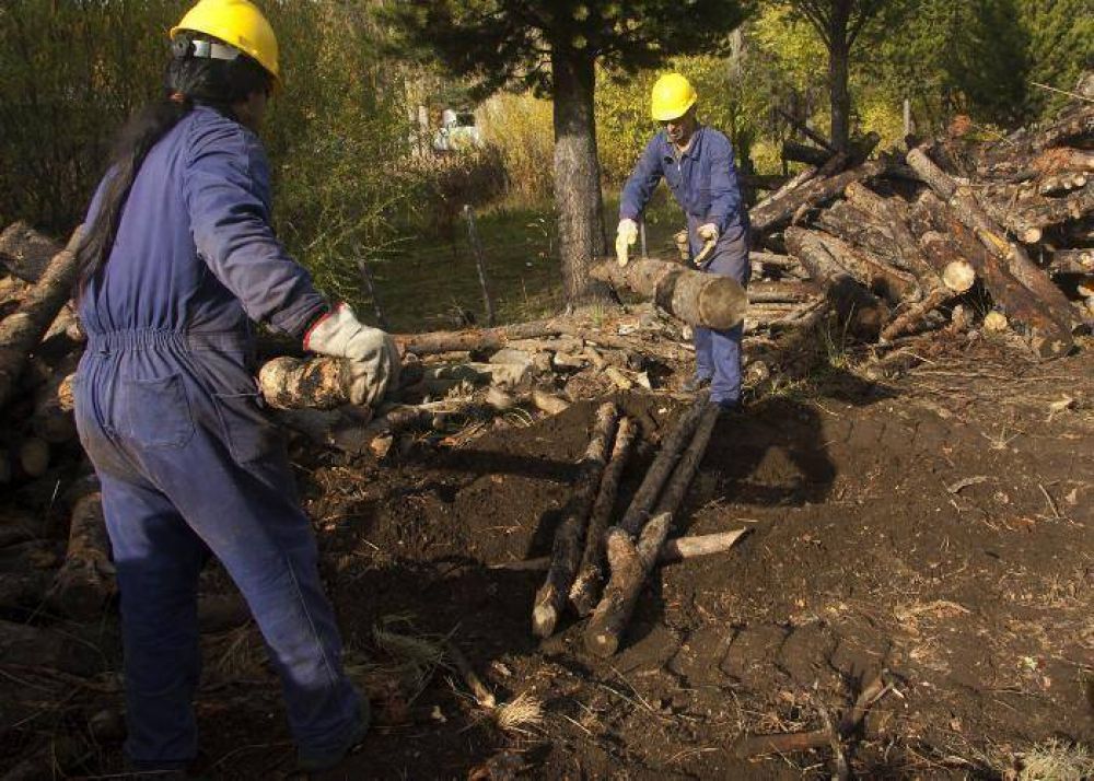 Neuqu�n: $ 7.400.000 para el Operativo Le�a