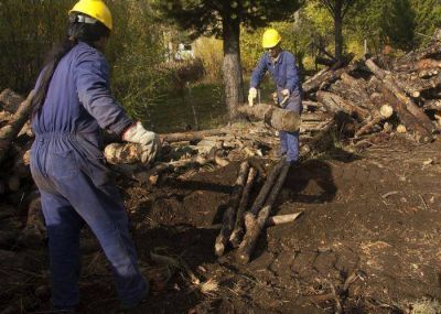 Neuqu�n: $ 7.400.000 para el Operativo Le�a