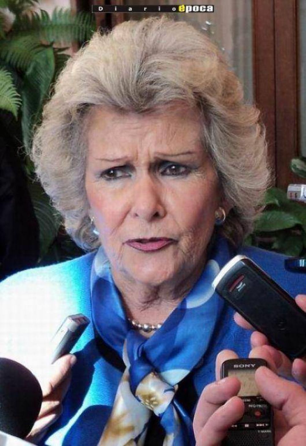 La Justicia Federal anul� decisiones de la Convenci�n Liberal