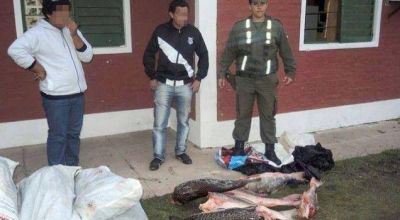 Secuestran 250 kilos de pescado transportados en un colectivo