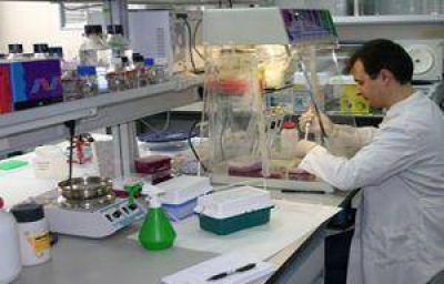 Curso sobre la toxoplasmosis para los profesionales de la bioqu�mica y m�dicos