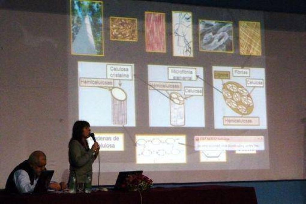 M�s de 800 investigadores presentan 380 trabajos en las jornadas cient�ficas de la UNaM