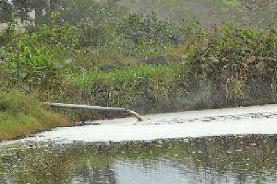 "La vinaza es una bomba que puede explotar en cualquier momento y terminar en la cuenca"