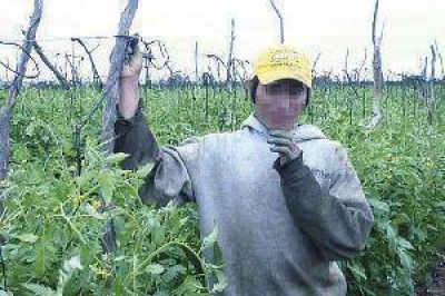 Rescatan a santiague�os menores de un campo