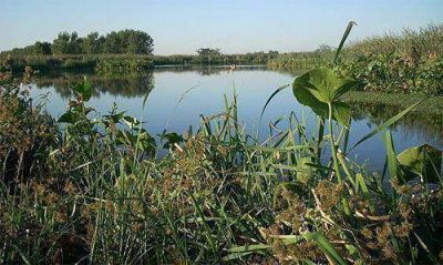 Desafectan 64 hect�reas de la Reserva Natural Laguna de Rocha