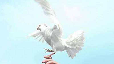 Duro castigo del Papa a un cardenal escoc�s acusado de abusos