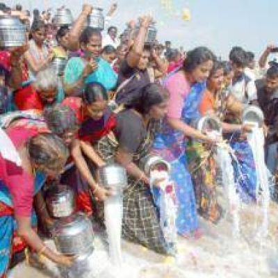 India busca colocarse entre los principales exportadores mundiales de l�cteos