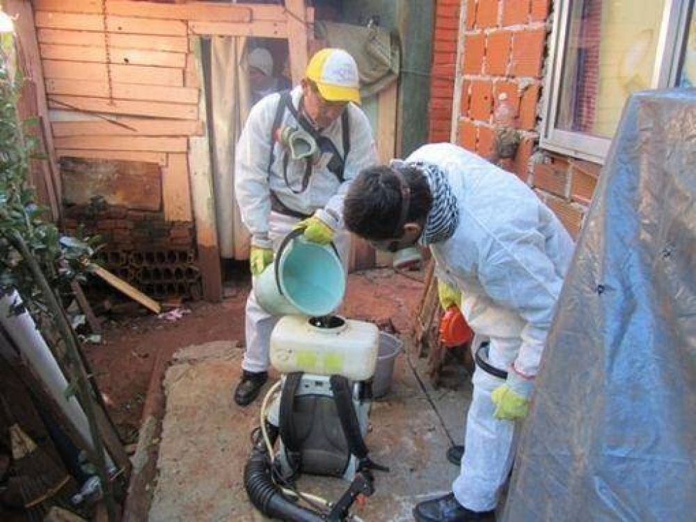 Salud P�blica confirma 42 casos de dengue en Posadas
